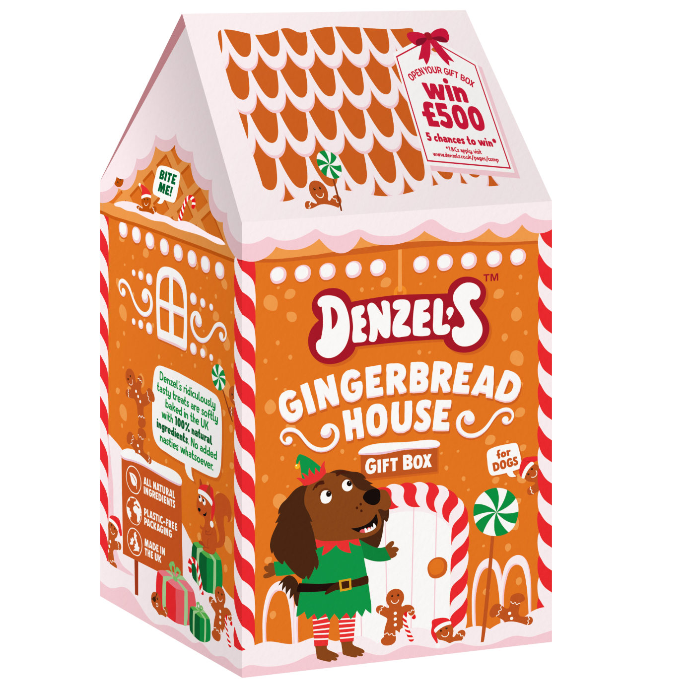 Denzel's Christmas Gingerbread House - Dog Treat