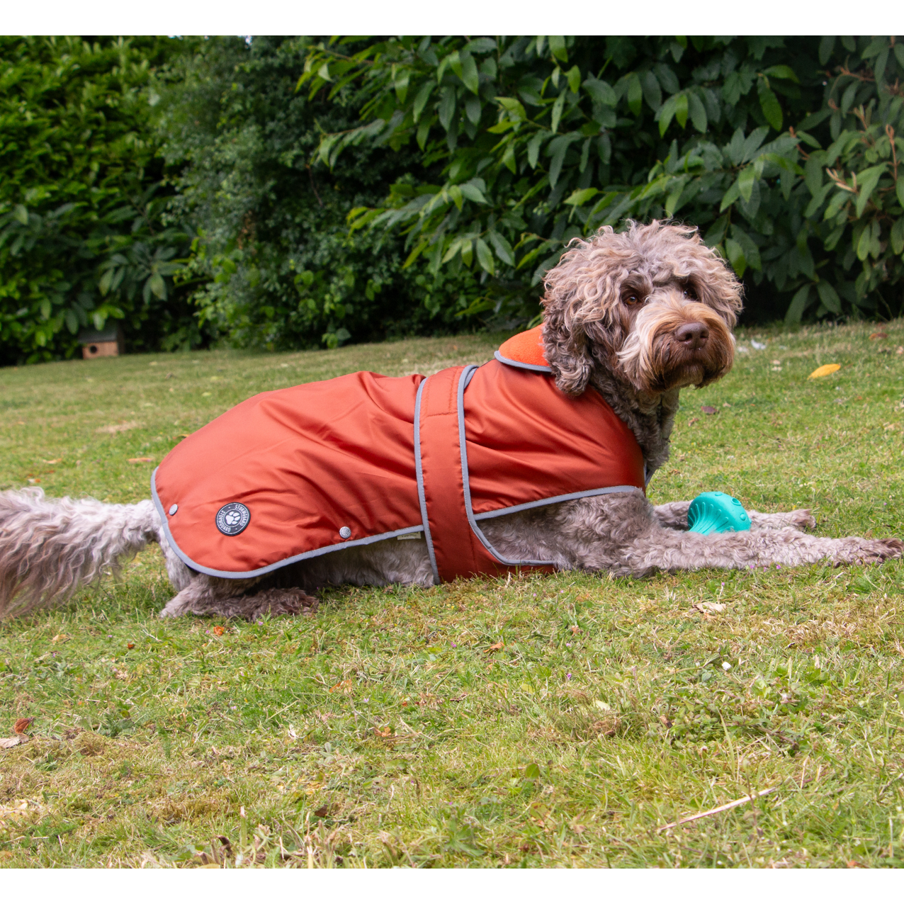 Stormguard Terracotta Dog Coat L