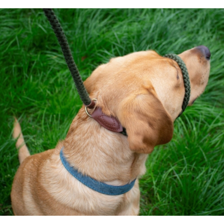 Heritage Rope Slip & Control Lead Green1.5mx12mm