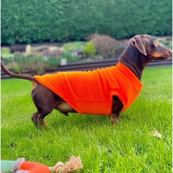 Pawsome Suits Dachshund Jumper In Polar Fleece Pawsome Suits