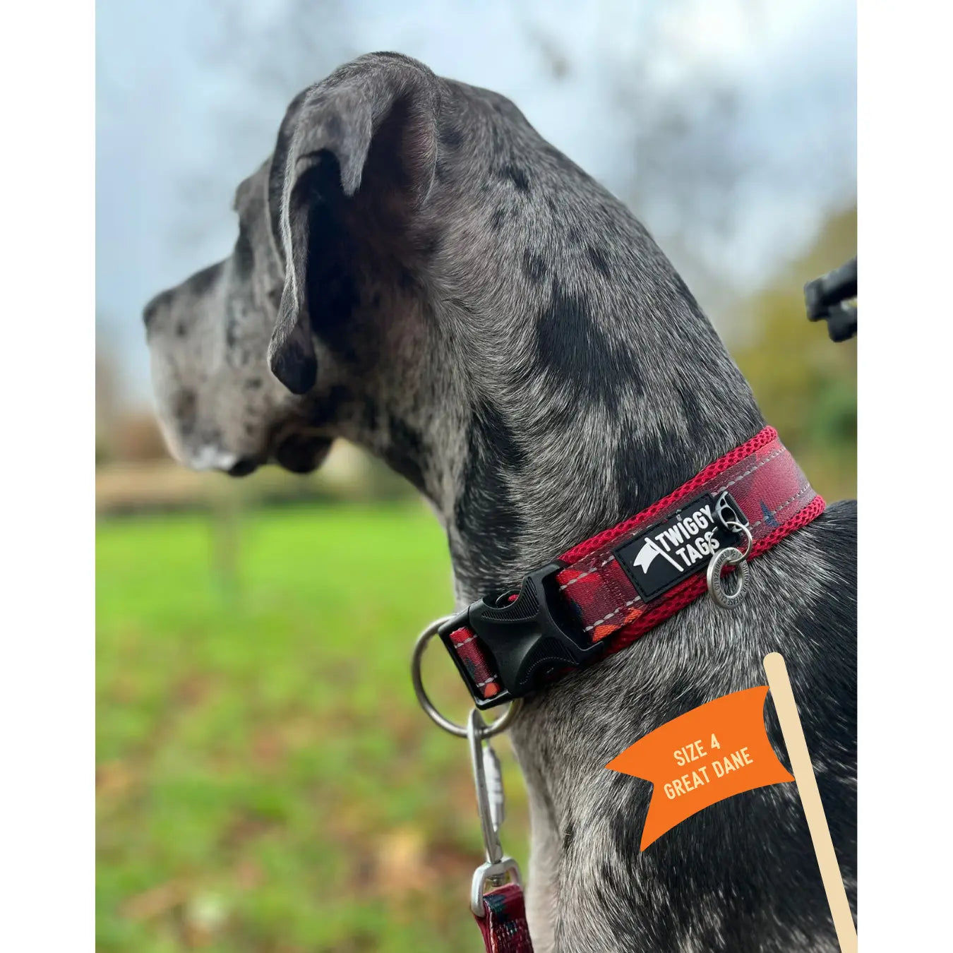Twiggy Tags Adventure Collar - Alpenglow Size 1 Twiggy Tags