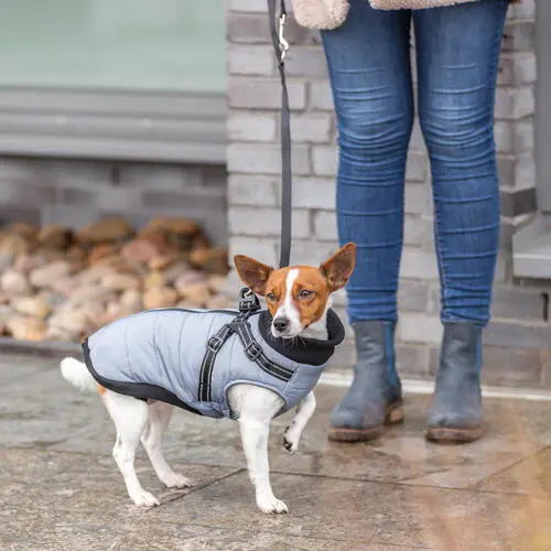 Pontis Harness Coat XS 27cm Grey Trixie