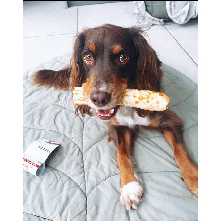 Earth Animal No-Hide Venison Dog Chew