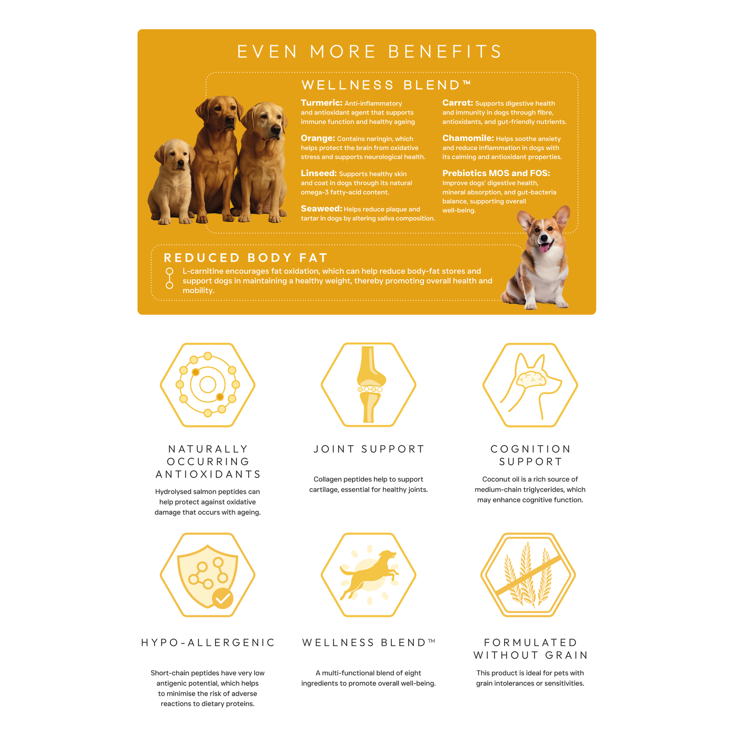 Origin Pets Grain Free Hypoallergenic Healthy Living Adult Dog Food 1.5kg Origin Pets Longton
