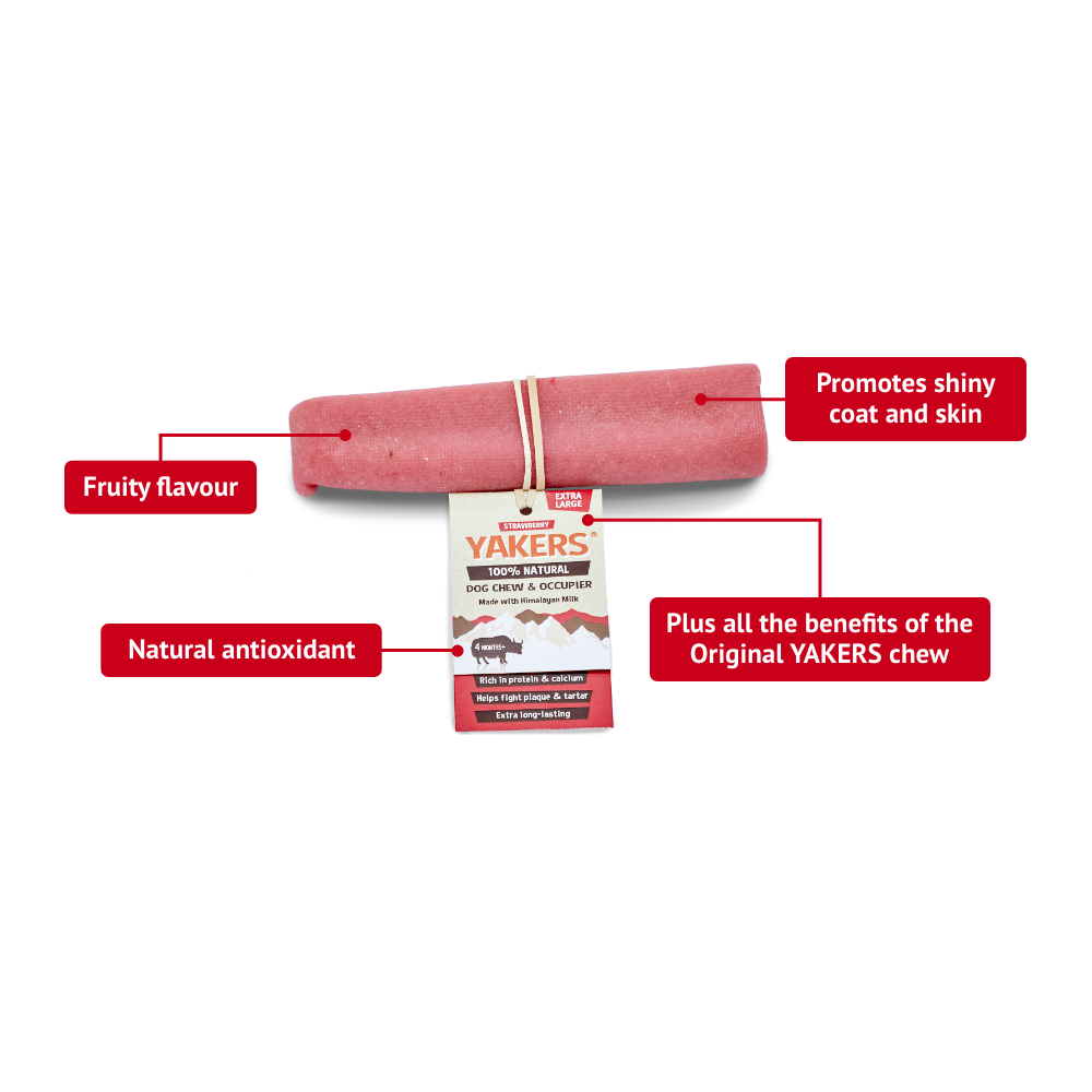 Yakers Strawberry Dog Chew Medium