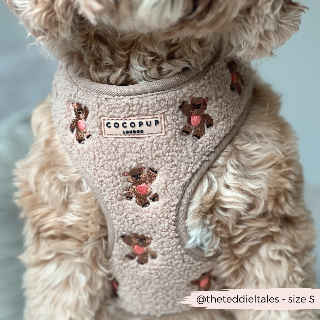 CocoPup London Theo Embroidered Teddy Adjustable Neck Harness