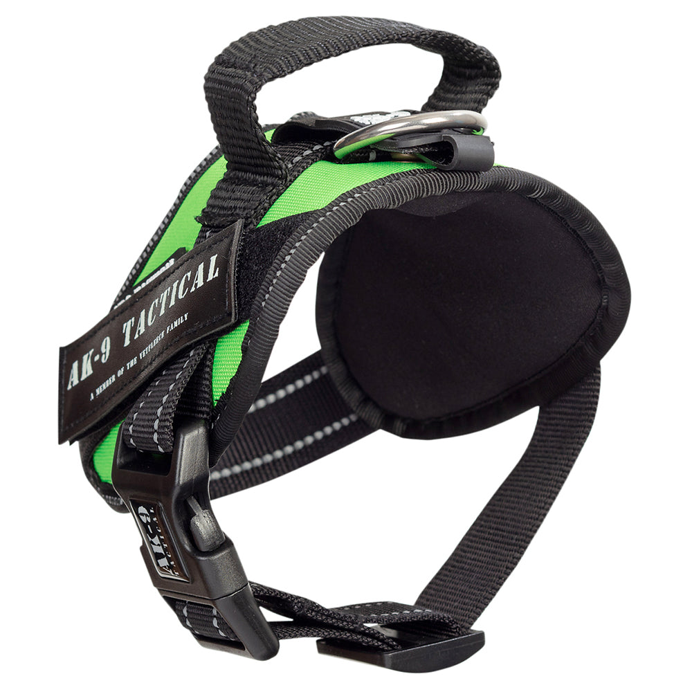 AK-9 Size 2 Power Harness Neon