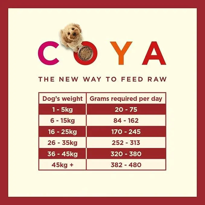 Coya Adult Dog Food - Beef 150g Pedigree