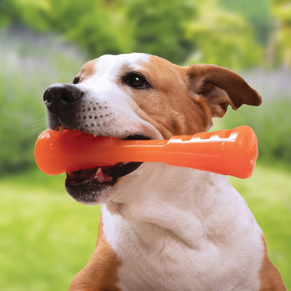 Bionic Urban Stick Medium Dog Toy