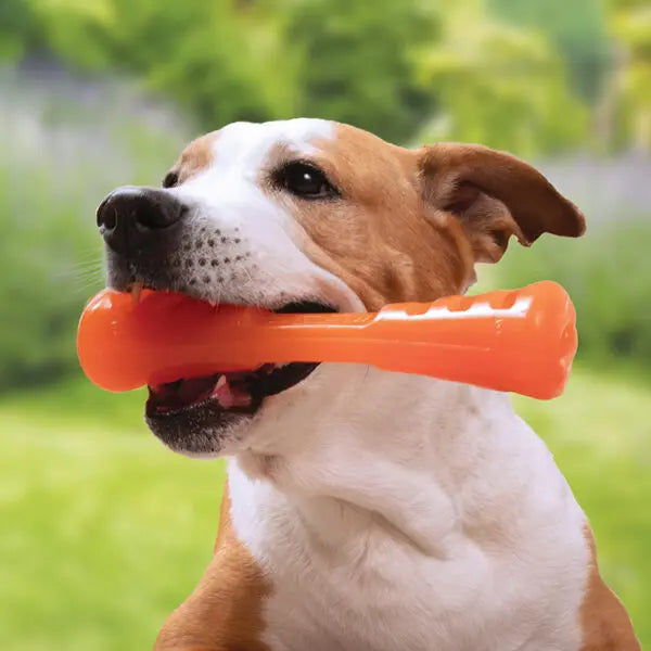 Bionic Urban Stick Medium Dog Toy Bionic