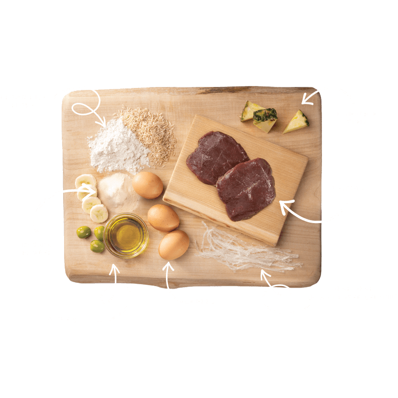 Earth Animal No-Hide Venison Dog Chew