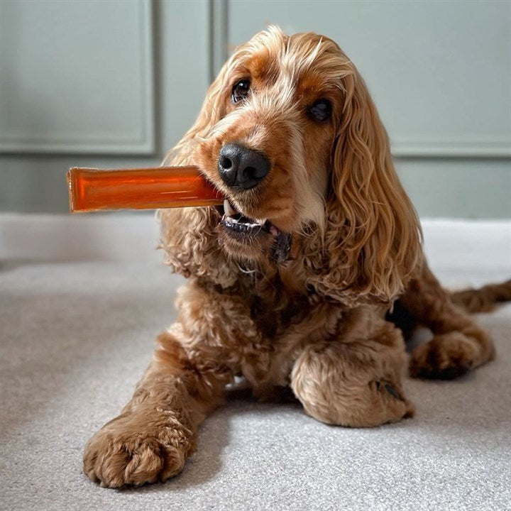 Brothies Beef Marrow Dog Chew – Medium 50g