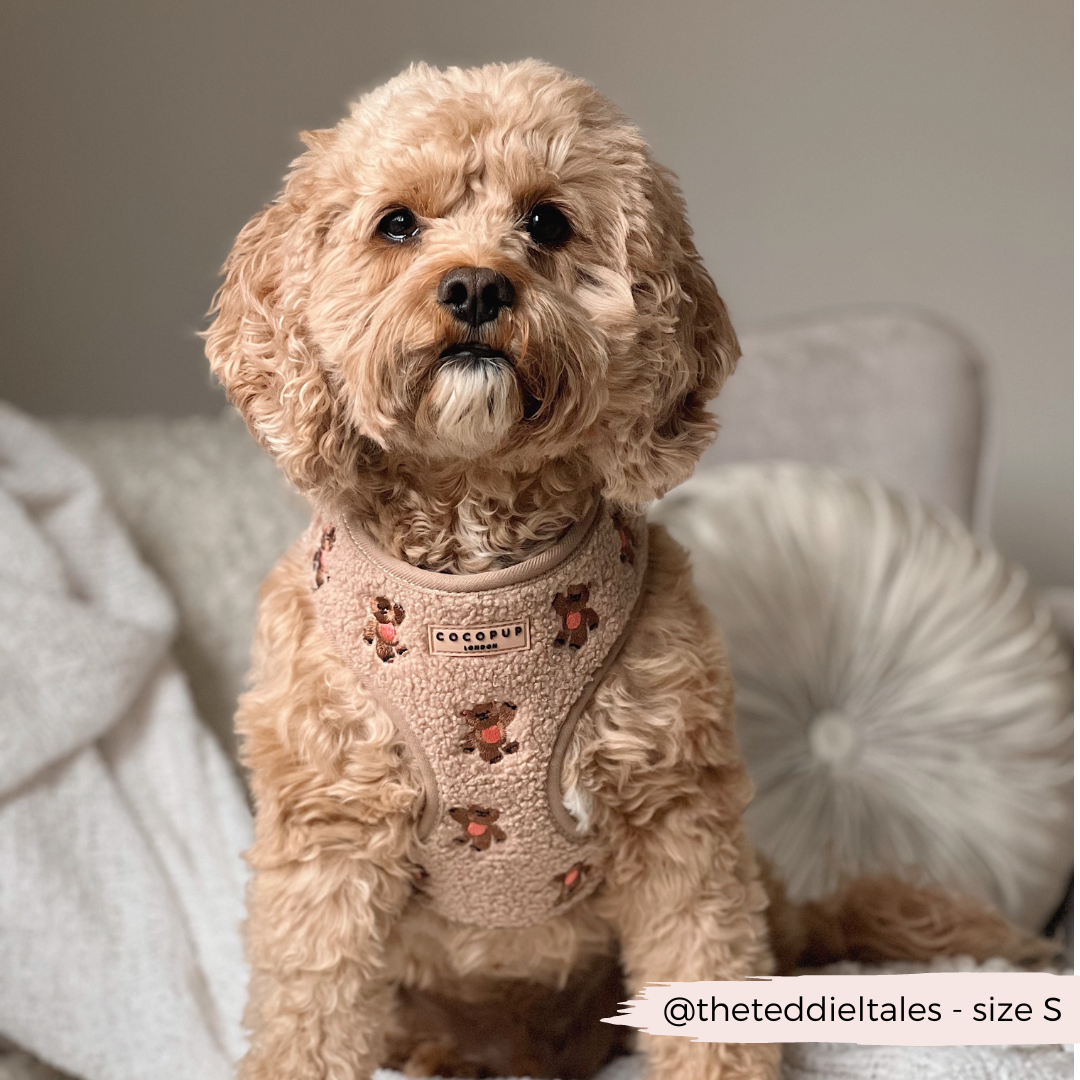 CocoPup London Theo Embroidered Teddy Adjustable Neck Harness