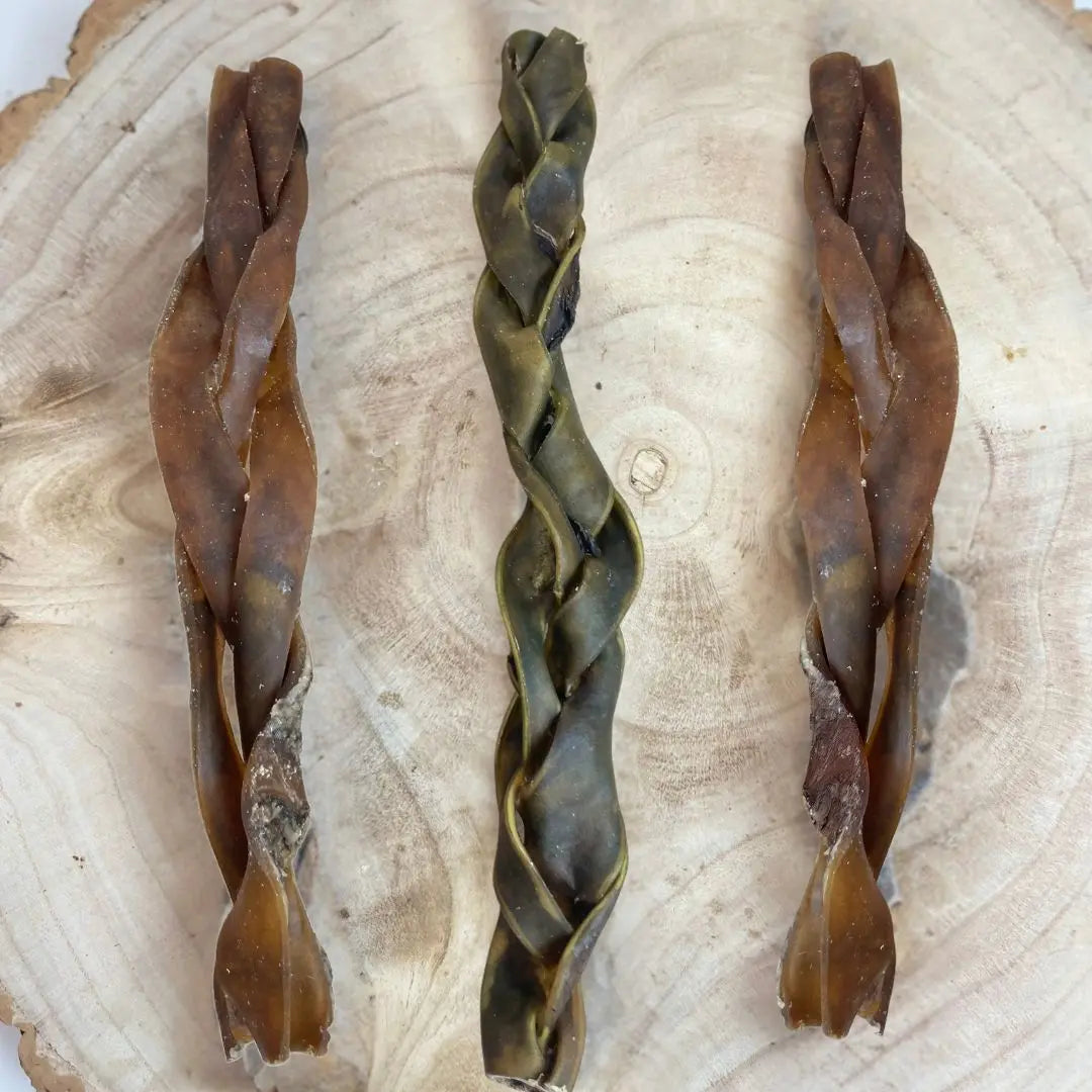 Braided Camel Skin 30cm (Single) Origin Pets Longton