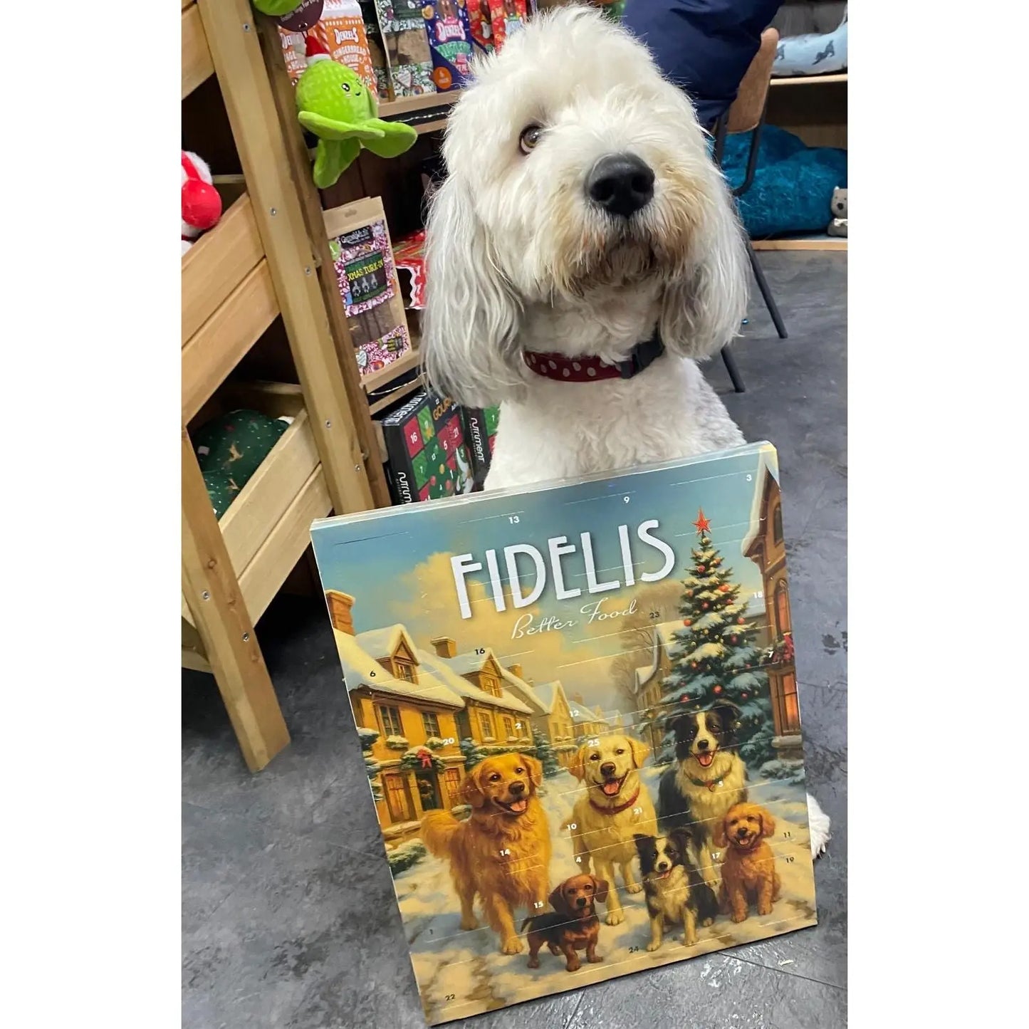 Fidelis XL 2025 Dog Treat Advent Calendar Sanadog
