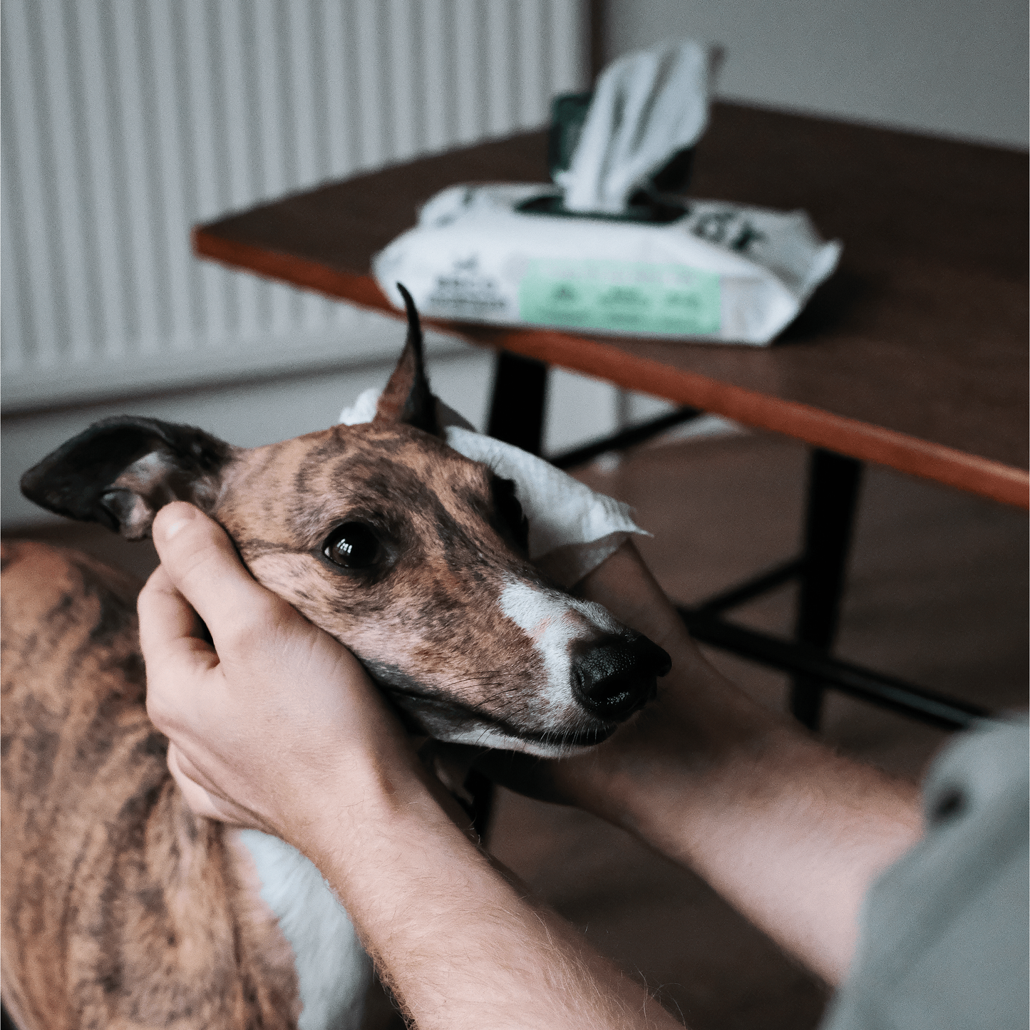 Beco Bamboo Dog Wipes - Unscented