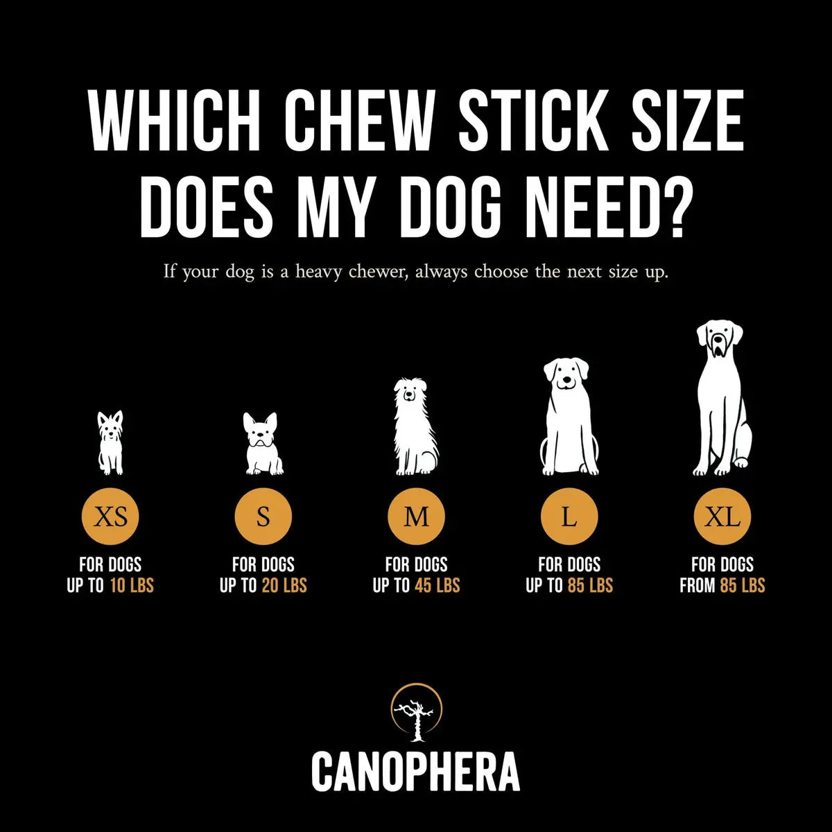 Canophera Coffee Wood Dog Chew Stick Medium Pedigree