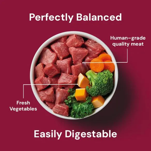 Nutriment Raw Dog Food Boneless Beef 500g Nutriment