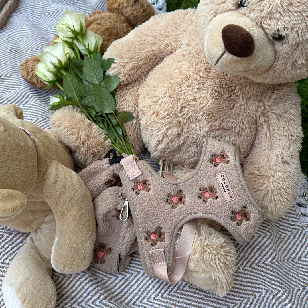 CocoPup London Theo Embroidered Teddy Adjustable Neck Harness