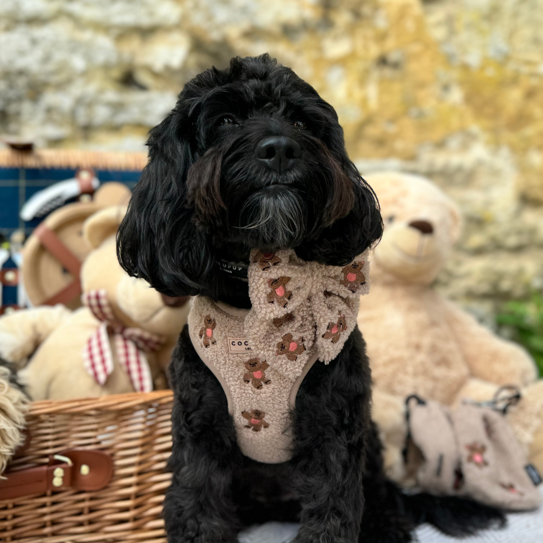 CocoPup London Theo Embroidered Teddy Adjustable Neck Harness