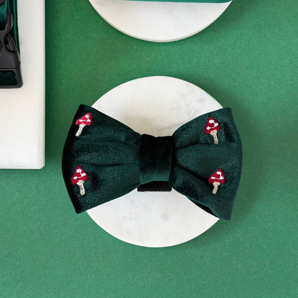 Cocopup London - Toadstool Trails Bow Tie