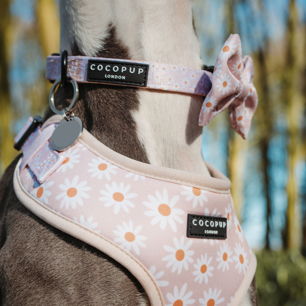 Cocopup London - Daisy Chain Bow Tie