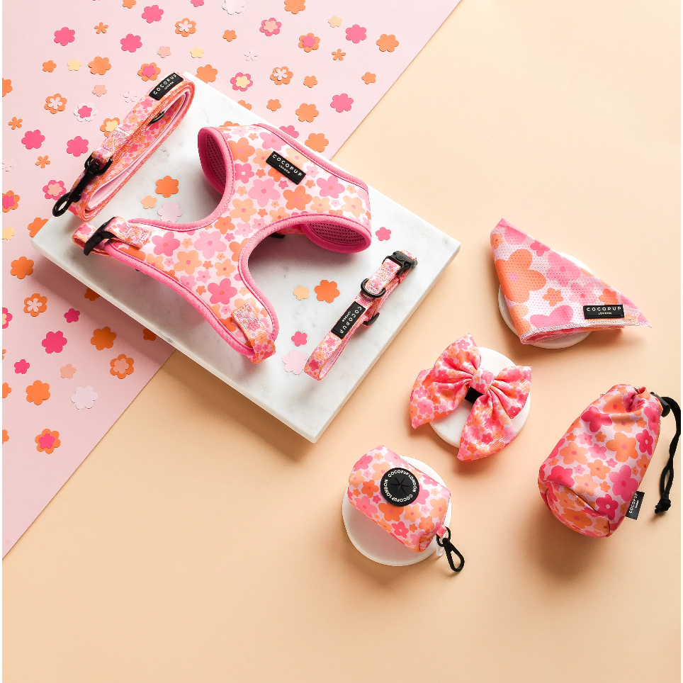 Cocopup London - Summer Bloom Sailor Bow Tie