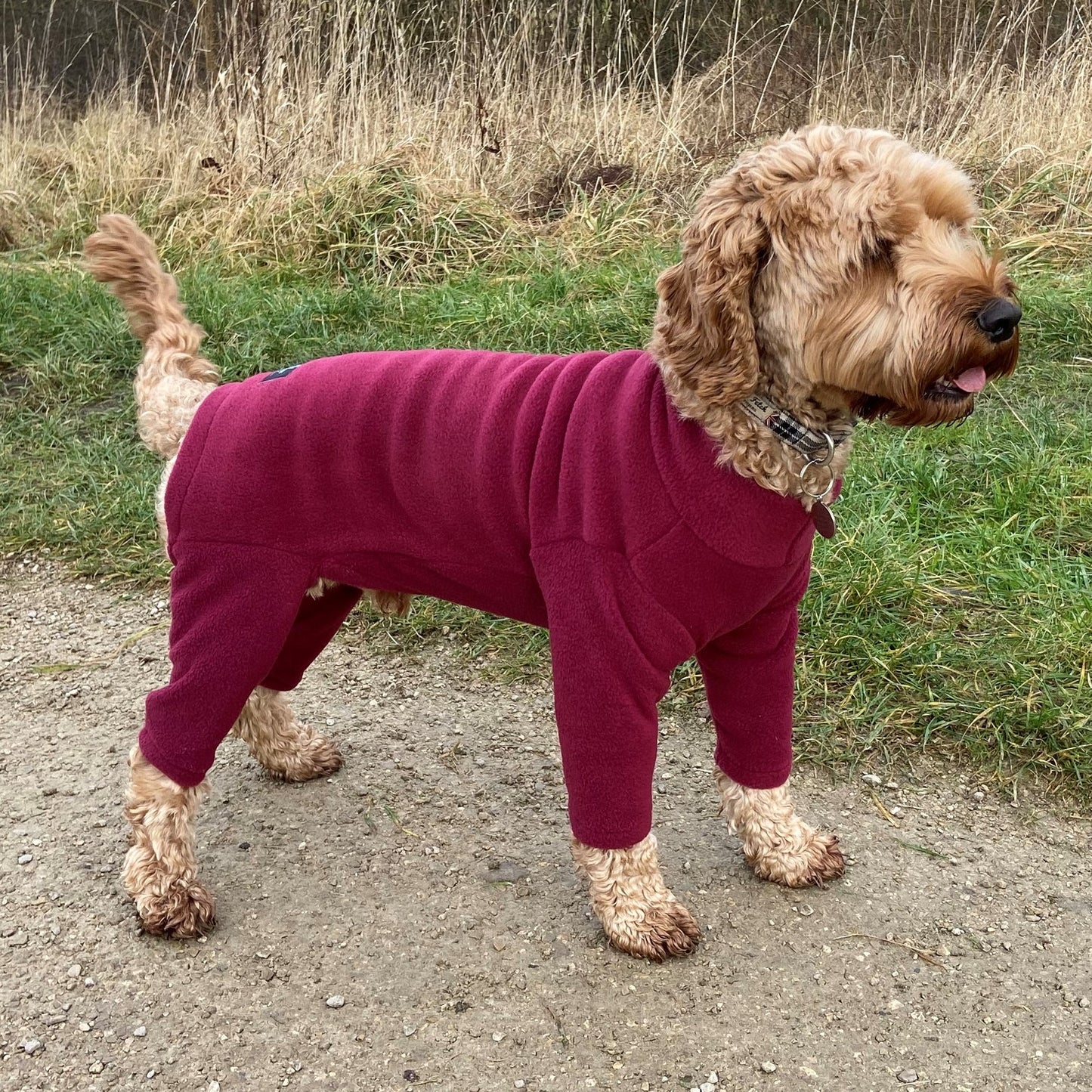 Pawsome Suits - 4 Leg Dog Suit in Polar Fleece