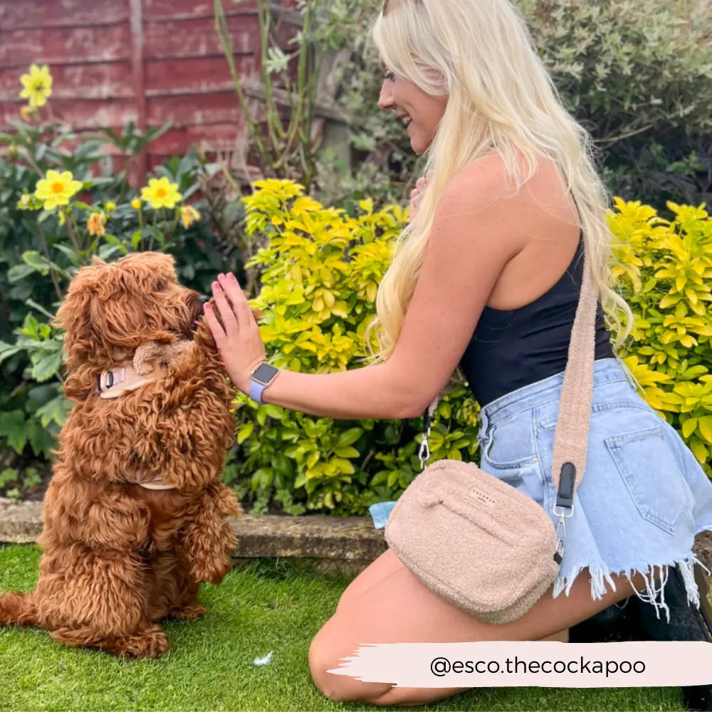 CocoPup London Dog Walking Bag - Teddy Rupert Cocopup London