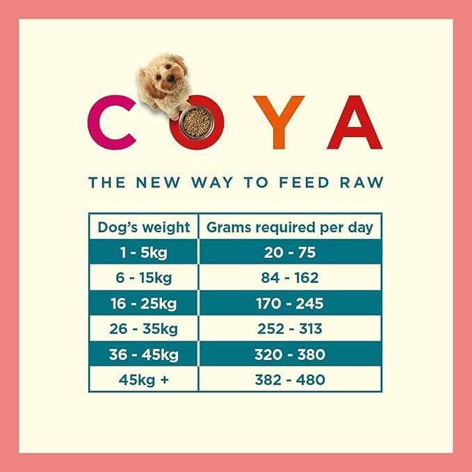 Coya Adult Dog Food - Fish 150g