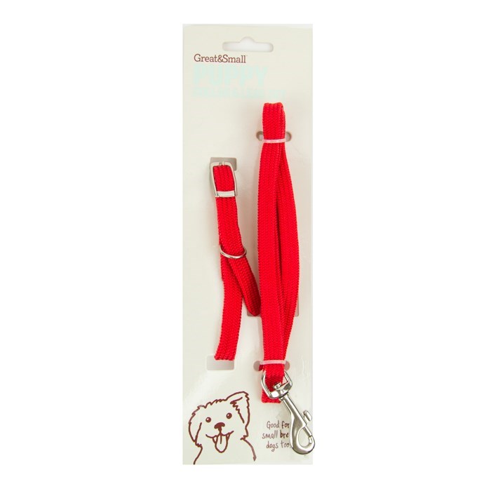 Little & Lively Puppy Collar & Lead Red