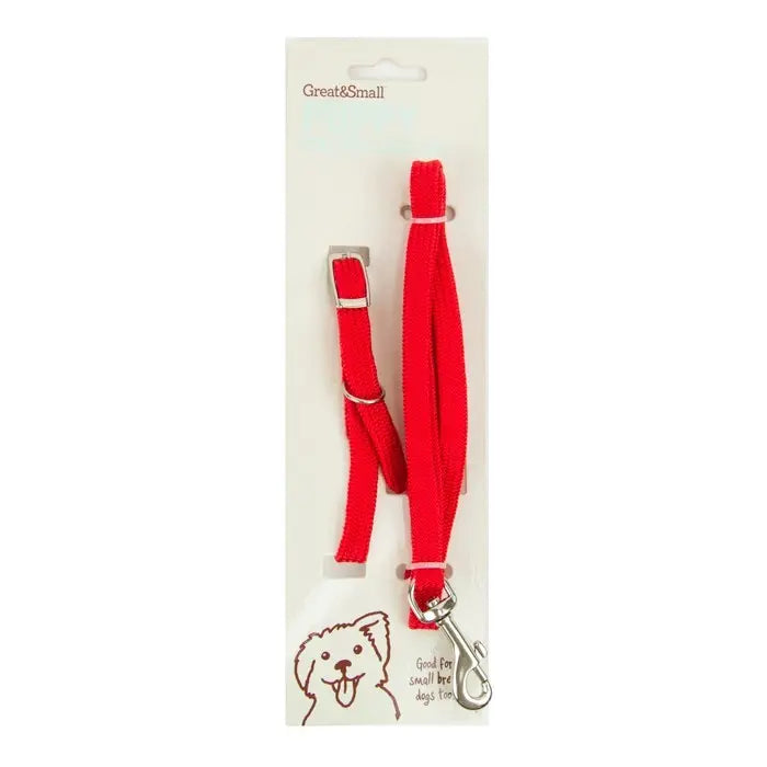 Little & Lively Puppy Collar & Lead Red We.Pet