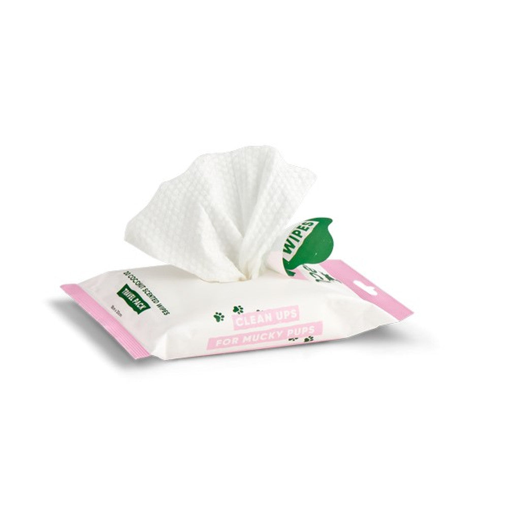 Beco Bamboodles Travel Wipes Coconut Scented
