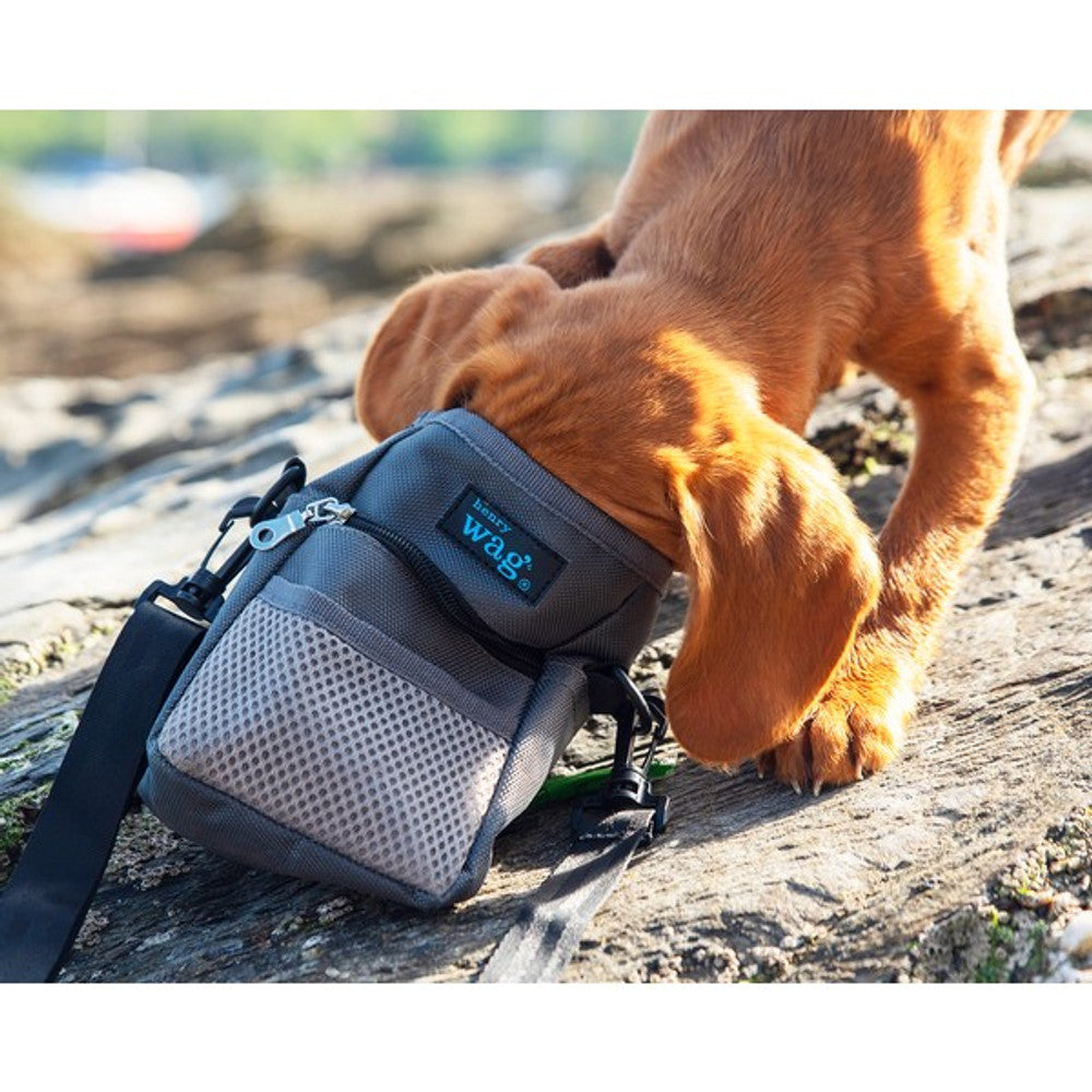 Henry Wag Travel Bag