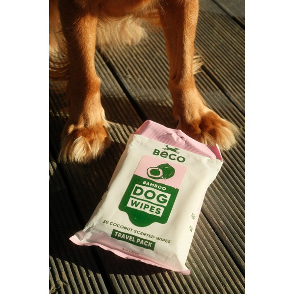 Beco Bamboodles Travel Wipes Coconut Scented