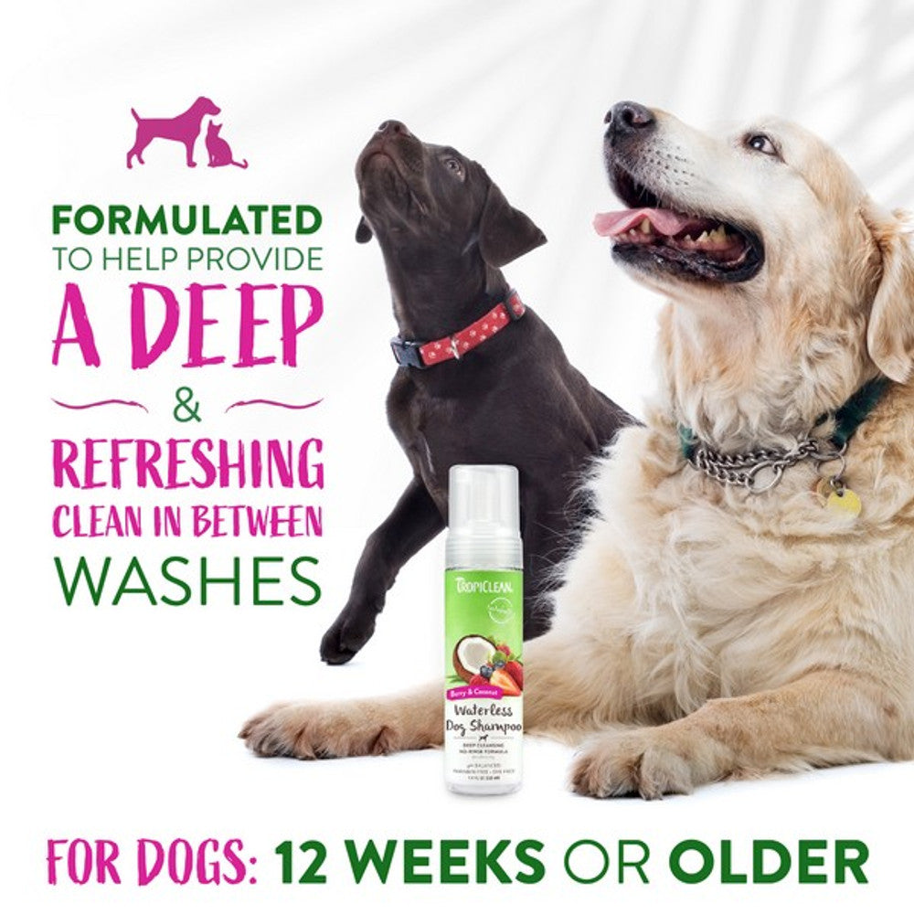 Tropiclean Waterless Berry & Coconut Shampoo