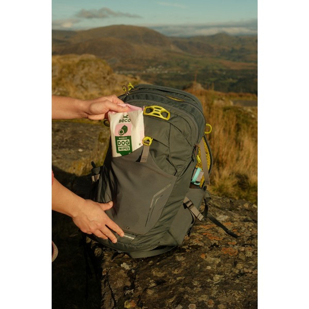Beco Bamboodles Travel Wipes Coconut Scented