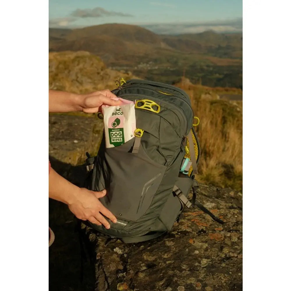 Beco Bamboodles Travel Wipes Coconut Scented Bamboodles