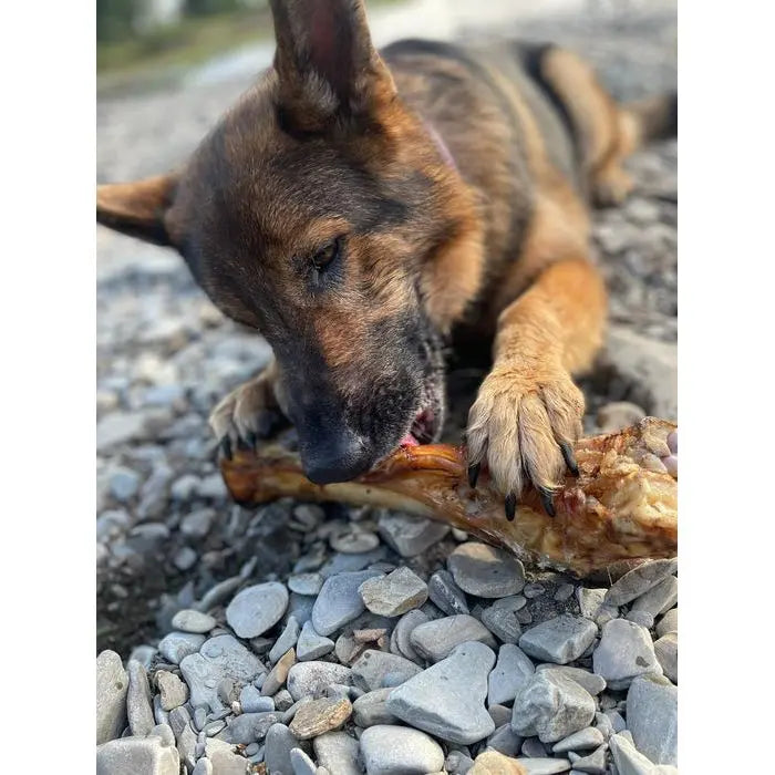 Beef Foot & Shin Origin Pets Longton