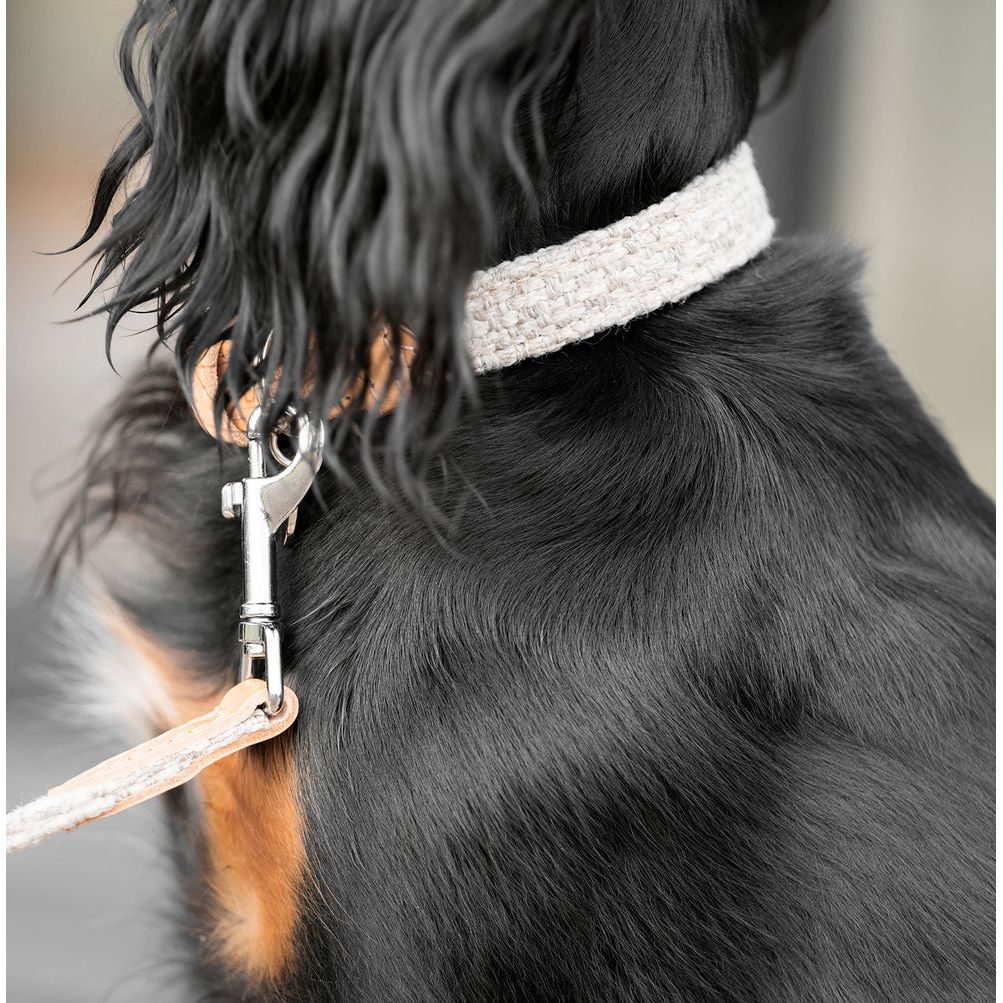 Essentials Herdwick Dog Collar in Sandstone by Lords & Labradors - XXS