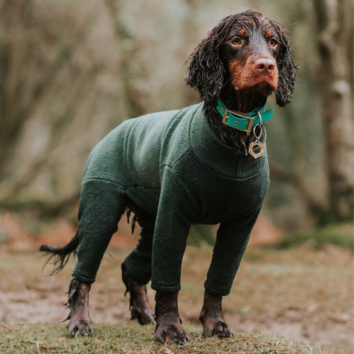 Pawsome Suits - 4 Leg Dog Suit in Polar Fleece