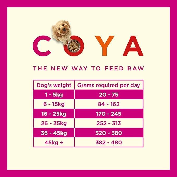 Coya Adult Dog Food - Pork 150g