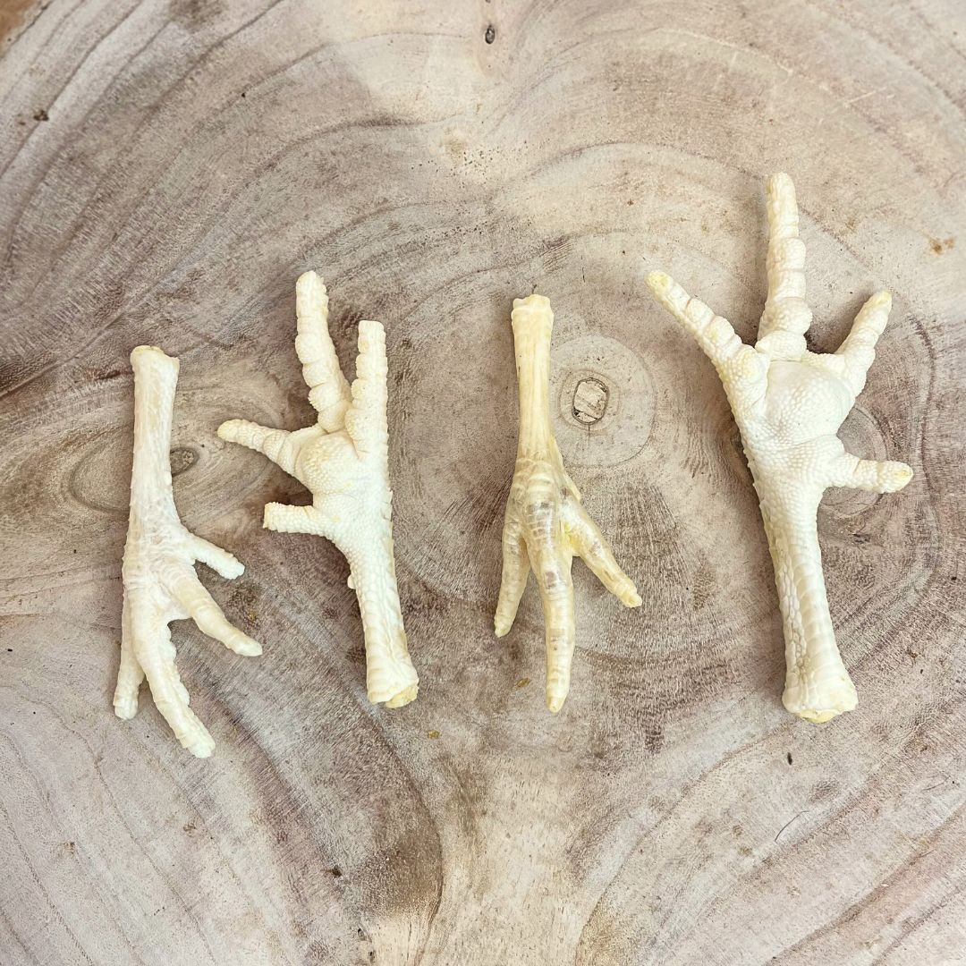 Chicken Feet Puffed (single) Origin Pets Longton