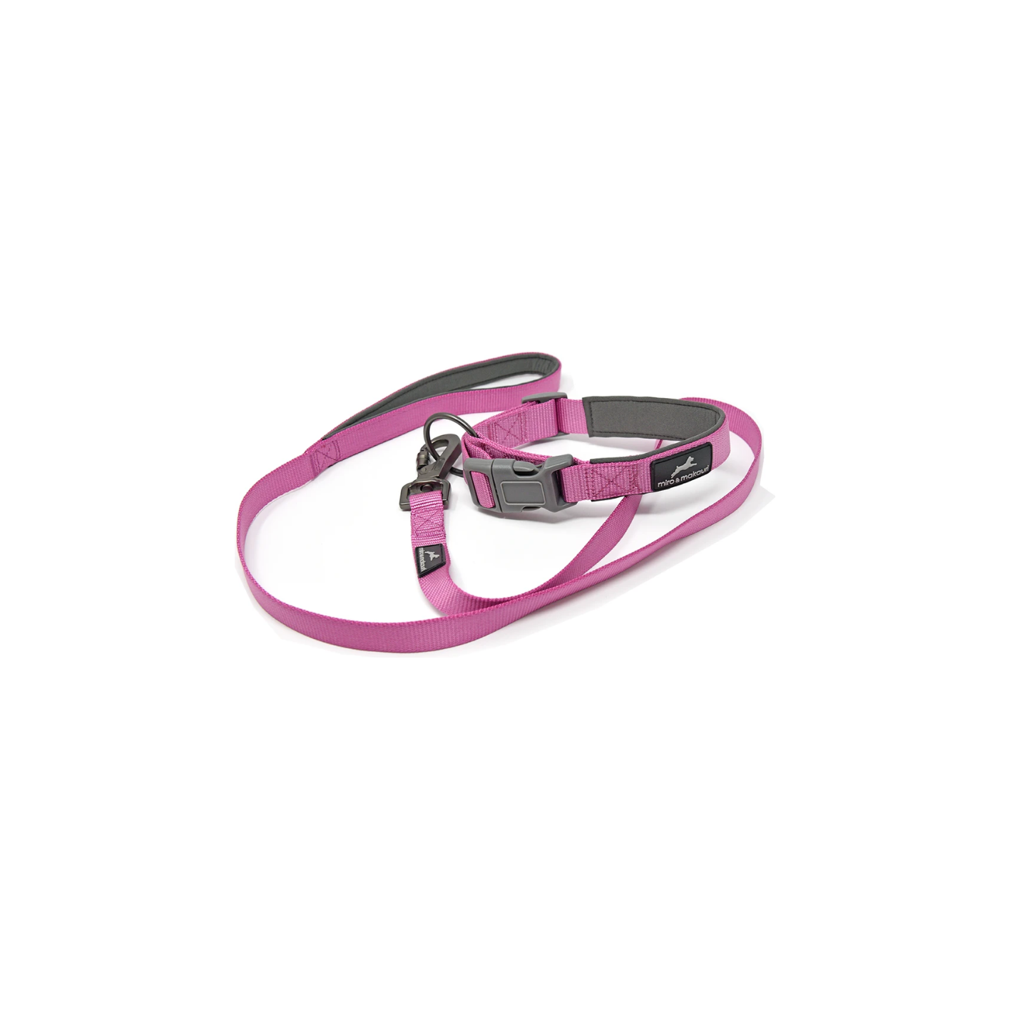 Carabiner Lead