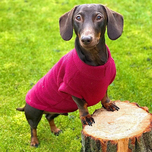 Pawsome Suits - Dachshund Jumper in Polar Fleece (Slim) Pawsome Suits