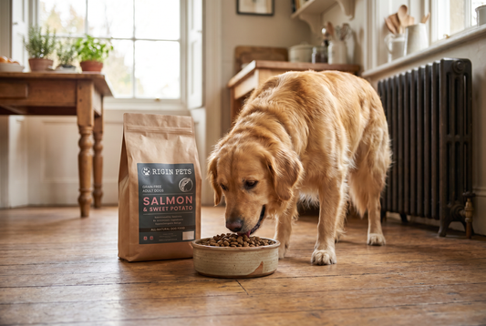 Adult dog eating happily from a bowl with the real Origin Pets Grain Free Salmon and Sweet Potato bag visible on the kitchen floor
