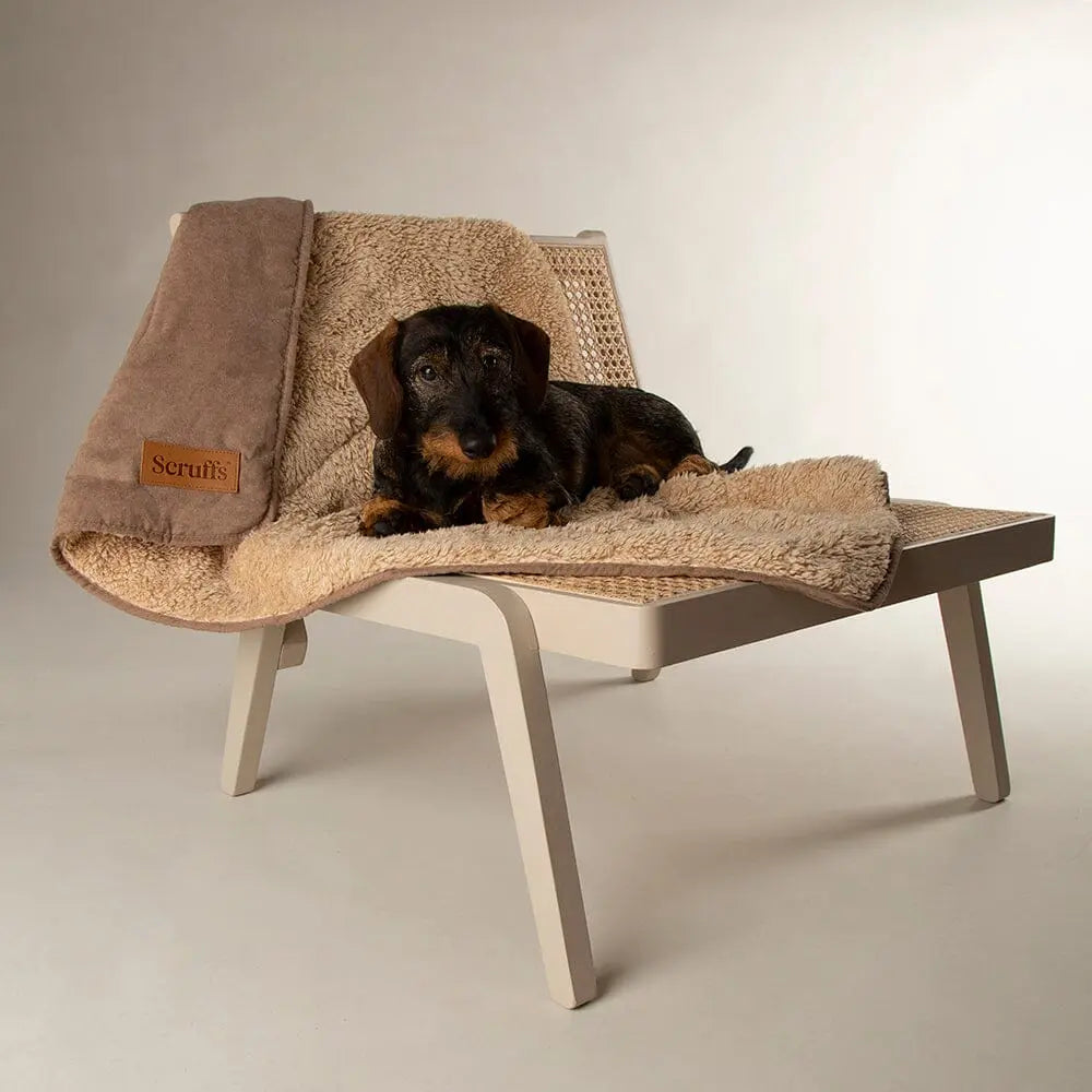 Dog Blankets
