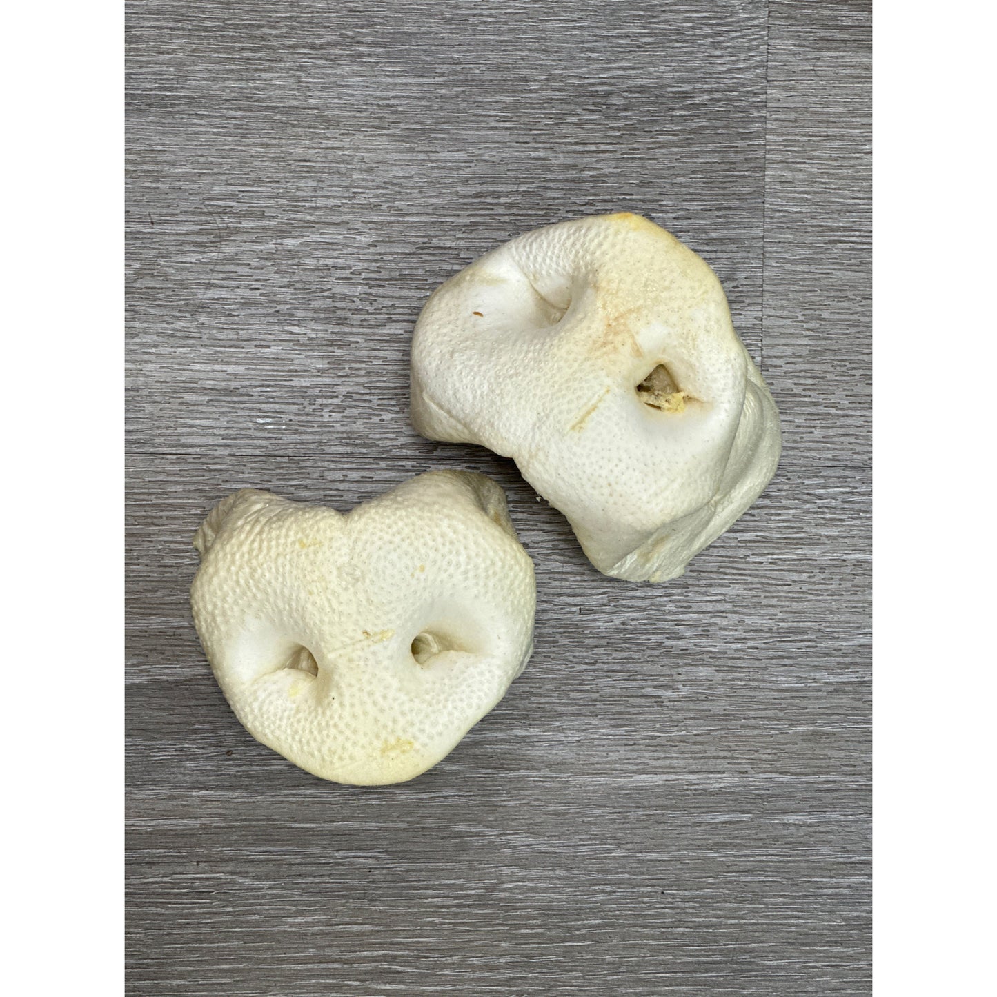 Puffed Pig Snout Small (Single)