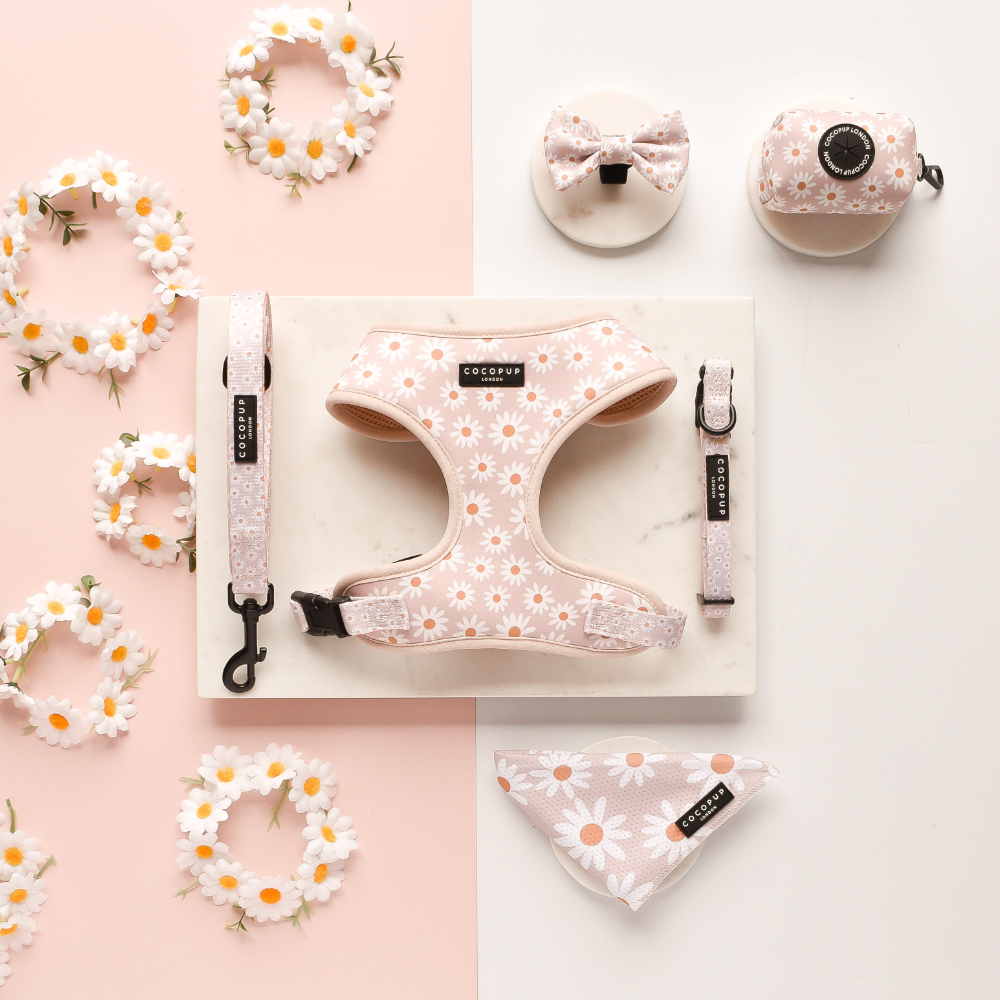 Daisy Chain Bandana