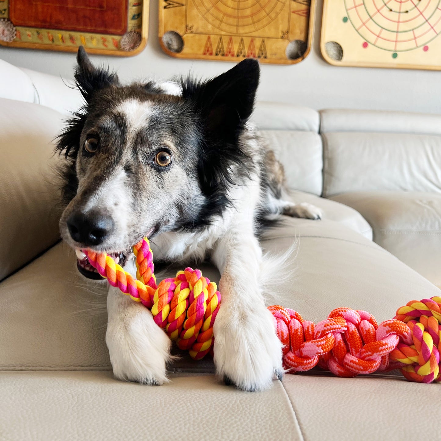 KONG Rope Bunji Assorted Small